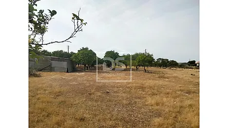 Land for sale in Benavente, Portugal — €200,000