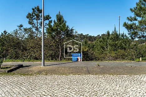 Land for sale in Alcobaça, Portugal — €119,500