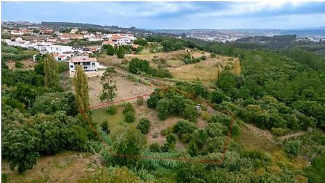 Land for sale in Alcobaça, Portugal — €85,000