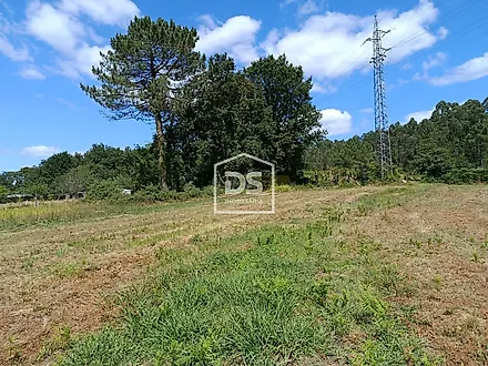 image-88aNwEAlLc7-0