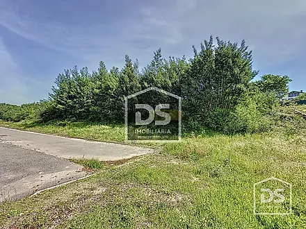 Land for sale in Santa Comba Dão, Portugal — €70,000