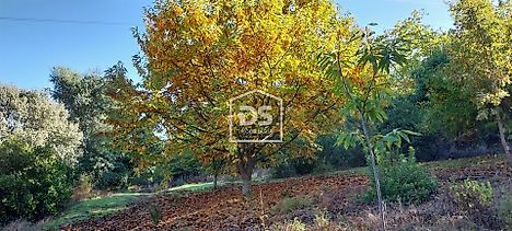 Terreno em Armamar