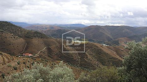 image-KlEsq46A2WH-0
