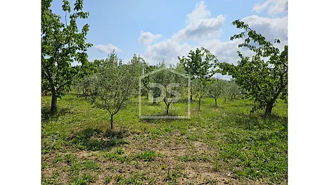 Land for sale in Lamego, Portugal — €110,000