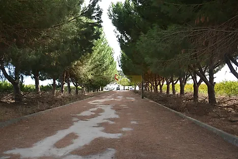image-CCzYd9XFPPT-0