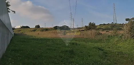 image-JzDDryK317h-0