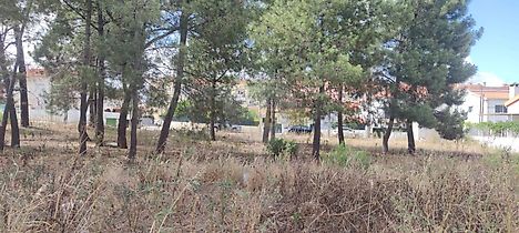 image-Fv6fN3kTGiL-0