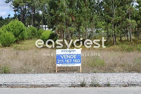 image-1eZeYMrL6Px-0
