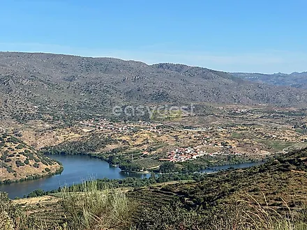 image-27iCCPSmjgT-0
