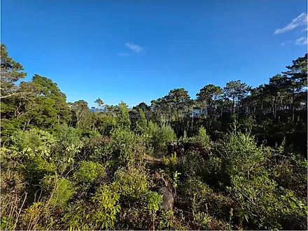 Land for sale in Lajes do Pico, Portugal — €140,000