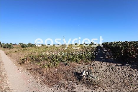 Land for sale in Vendas Novas, Portugal — €96,500