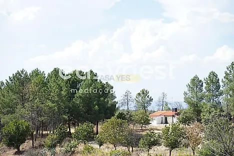 listing-3nlkfTuiluA