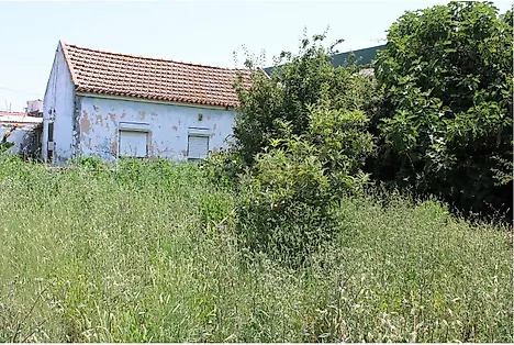 Land for sale in Azambuja, Portugal — €75,000