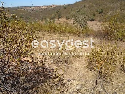 image-3xcfEyF9uIe-0