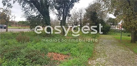 Land for sale in Albergaria-a-Velha, Portugal — €142,878