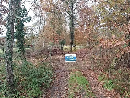 Land for sale in Tondela, Portugal — €70,000