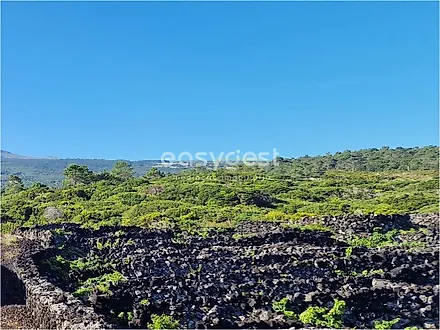 Land for sale in São Roque do Pico, Portugal — €70,000