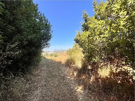 Land for sale in Torres Novas, Portugal — €450,000
