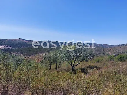 image-6yJG1t1Ioi-0