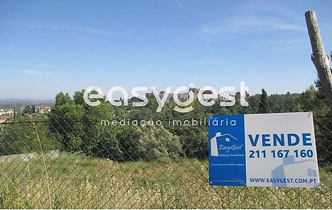 Land for sale in Tomar, Portugal — €65,000