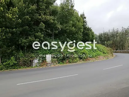 image-7fAyB6Sm87R-0