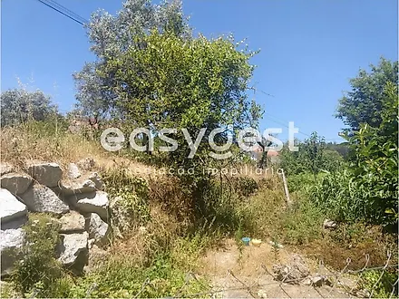 Land for sale in Viseu, Portugal — €71,150