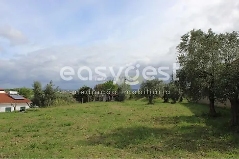 Land for sale in Tomar, Portugal — €80,000