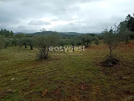image-9FR9651A2Dd-0