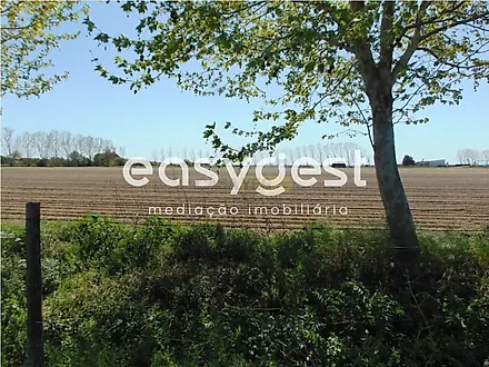 Land for sale in Salvaterra de Magos, Portugal — €85,000