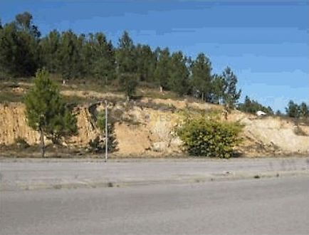 Terreno em Mação