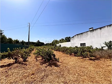 Land for sale in Abrantes, Portugal — €60,000