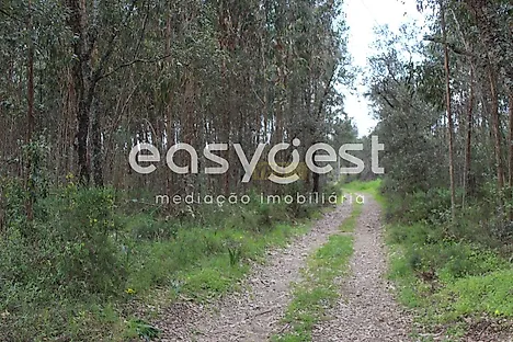 image-EF1S82ge25H-0