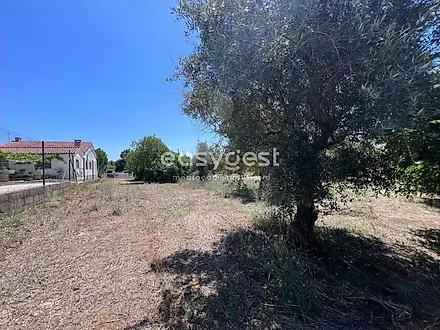 Land for sale in Tomar, Portugal — €67,000