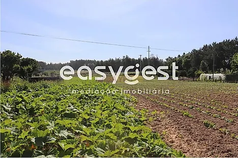 Land for sale in Soure, Portugal — €200,000