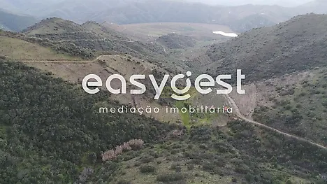 image-ElsAbDvxRt2-0