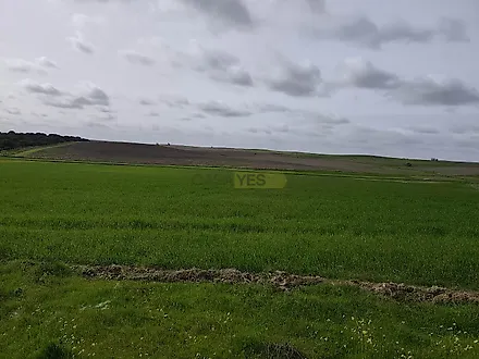 image-FByHH6875Uh-0