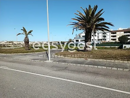Land for sale in Vagos, Portugal — €350,000