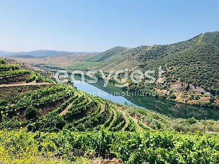 image-FzOaD92gZav-0
