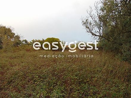 Land for sale in Cartaxo, Portugal — €85,000