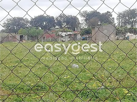 Terreno em Ferreira do Alentejo