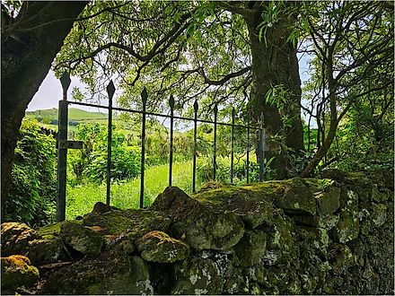 Terreno em Ribeira Grande