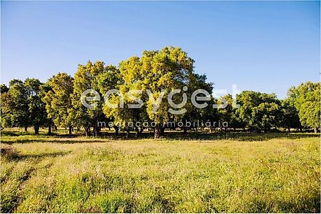 Land for sale in Palmela, Portugal — €220,000
