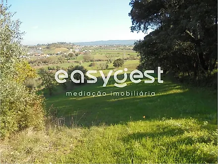 Land for sale in Tomar, Portugal — €57,000