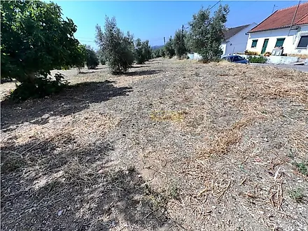 Land for sale in Torres Novas, Portugal — €120,000