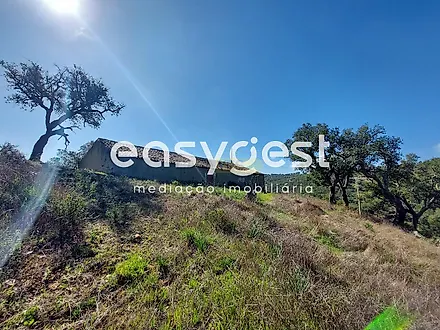 image-L4OWKI5hbRY-0