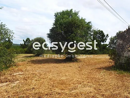image-LNsVT57yI3M-0