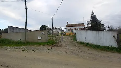 image-LOgNTB9yHfY-0