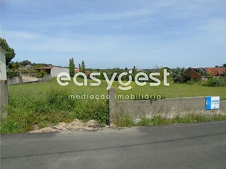 Land for sale in Tomar, Portugal — €50,000