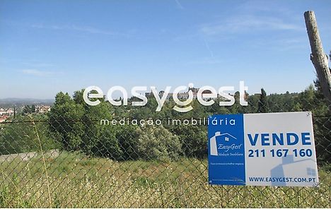 Land for sale in Tomar, Portugal — €60,000