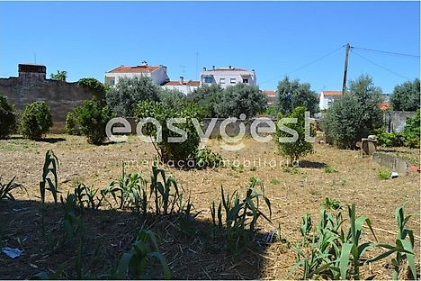 Land for sale in Entroncamento, Portugal — €76,000